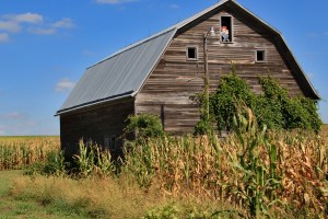 Barn outside David City, NE