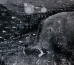 The Pines Pasture CD-cover jpeg