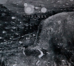 The Pines Pasture CD-cover jpeg